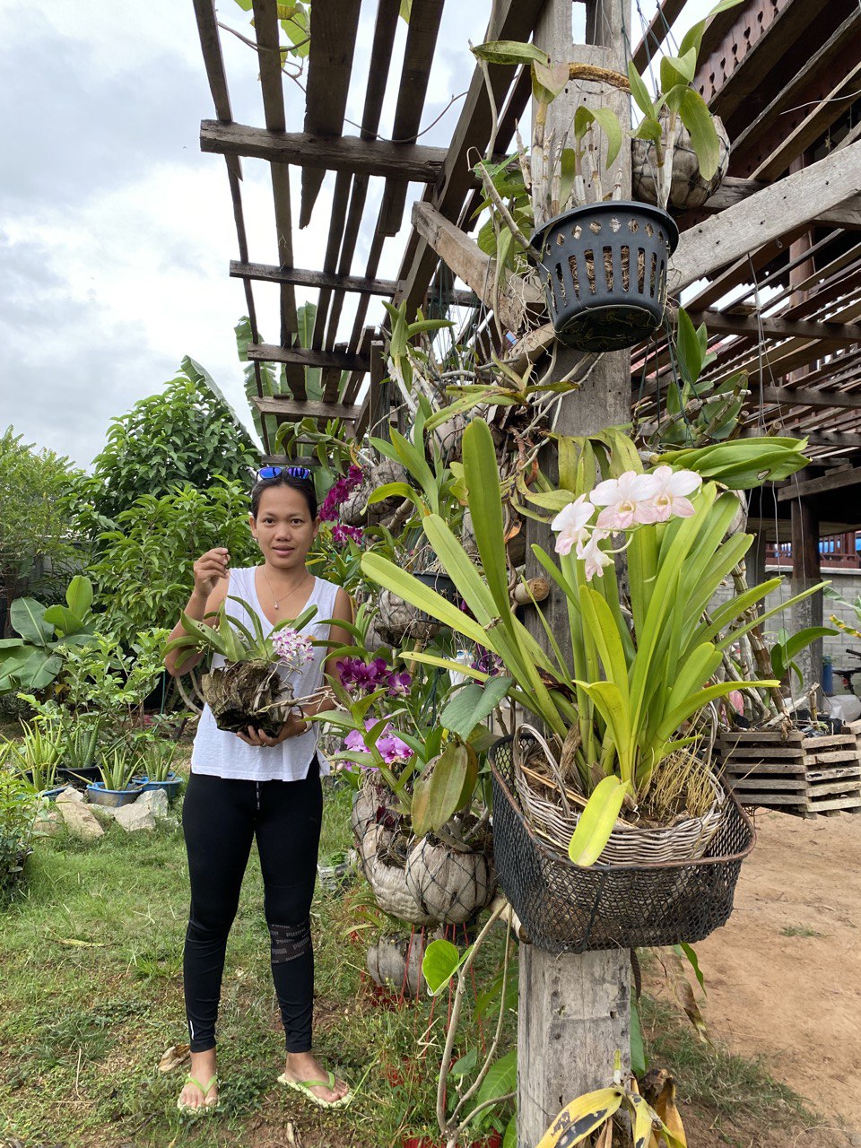 Makara Tith, Hotel Manager of The Aviary Hotel, at her house near Siem Reap enjoying her beautiful flowers and plants. 