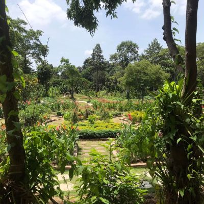 Angkor Botanical Garden Siem Reap