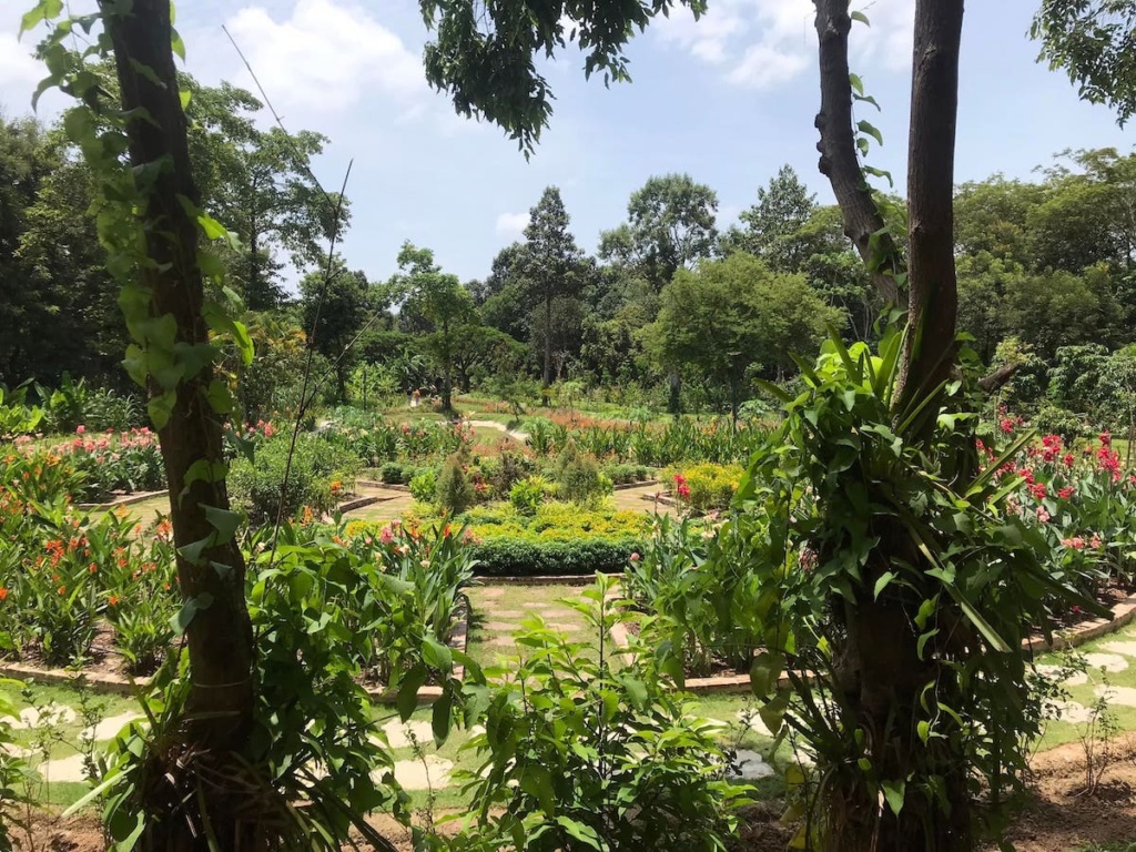 Siem-Reap-Botanical-Garden-at-the-day